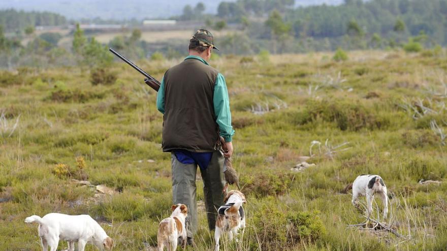 Un cazador junto a varios perros. | Bernabé / Javier Lalín