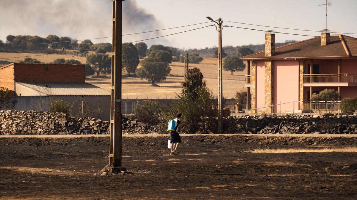 Imágenes de la superficie quemada tras el incendio en Losacio.