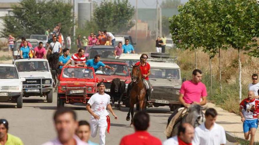 Encierro de las fiestas de San Roque de Villalpando del pasado año.