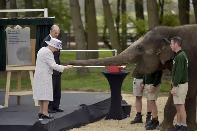Isabel de Inglaterra da de comer a un elefante en un centro de cuidado de Reino Unido
