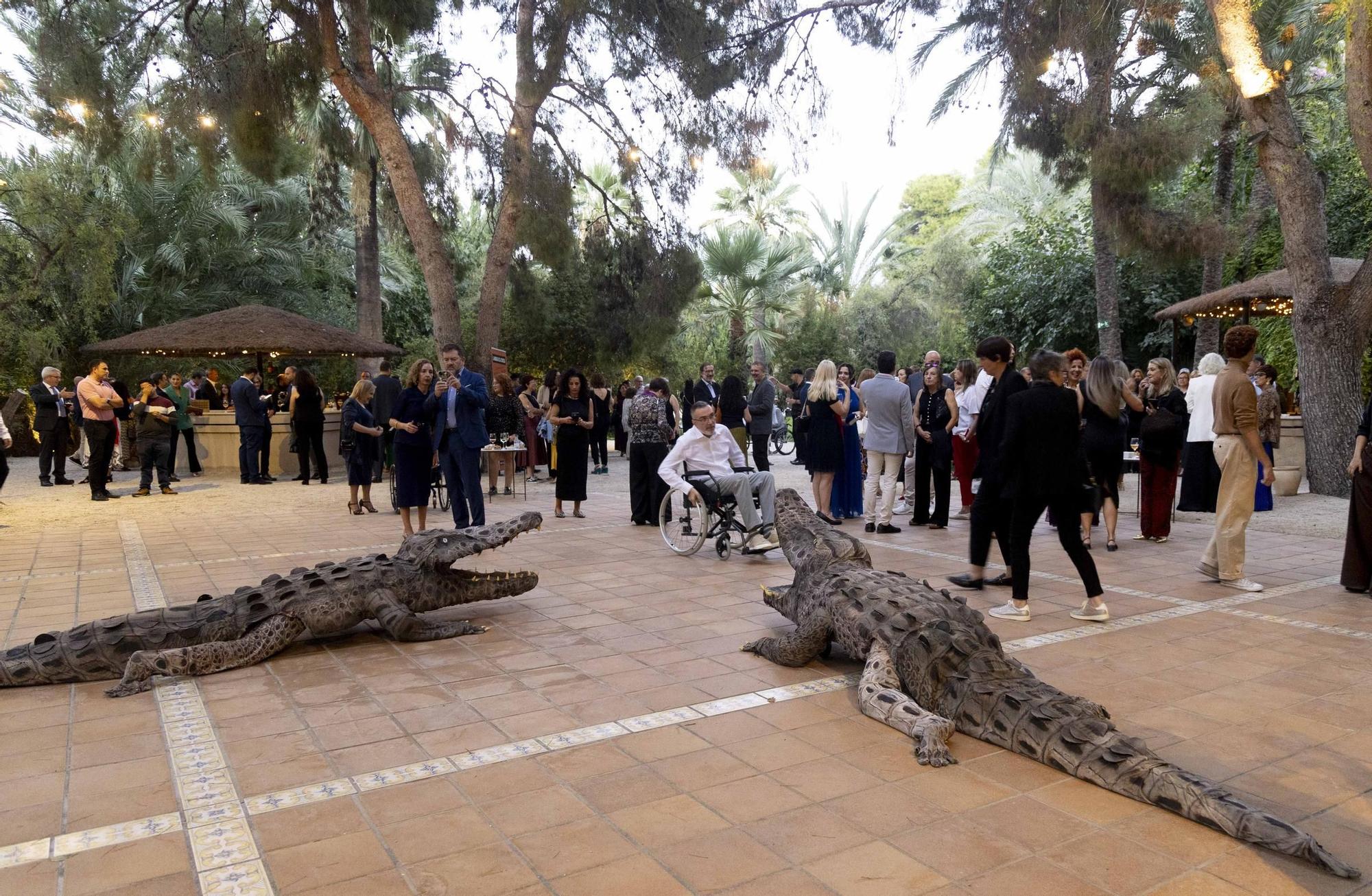 I Gala Solidaria de COCEMFE en Alicante