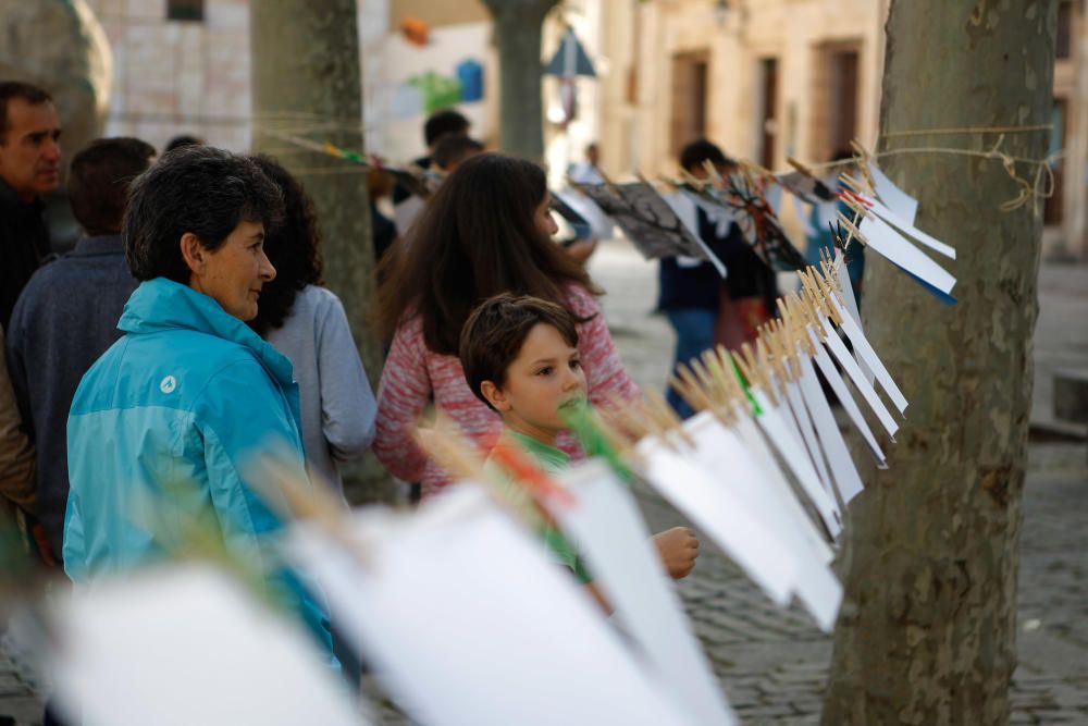 Fotosecado Zamora 2017