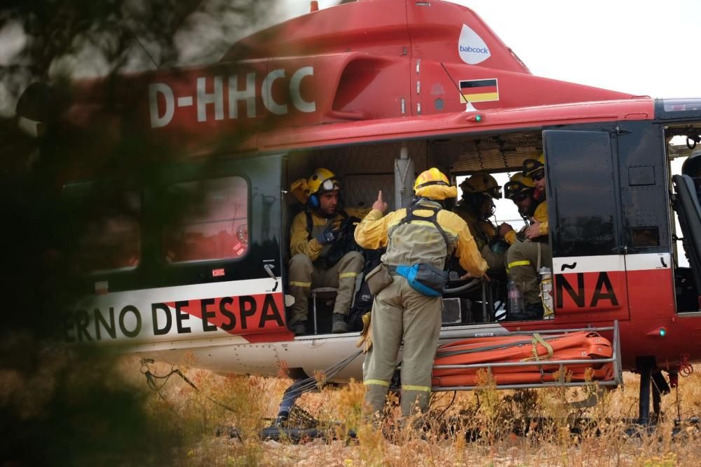 Efectivos trabajando en las labores de extinción