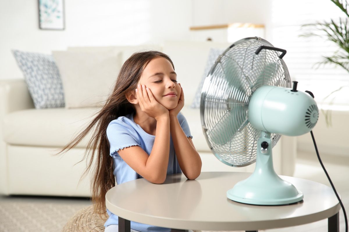 Los ventiladores ayudan a mantener la casa fresca.