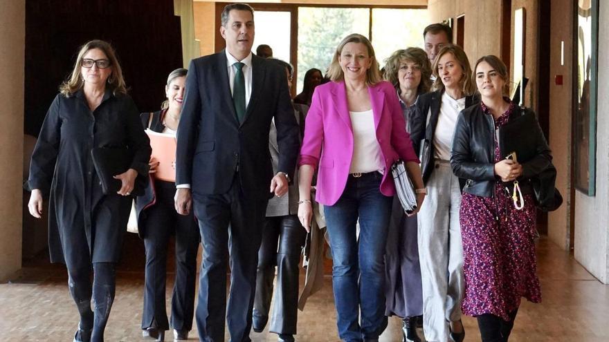 La consejera de Familia e Igualdad , Isabel Blanco, a su llegada para comparecer en las Cortes. | MIRIAM CHACÓN / ICAL