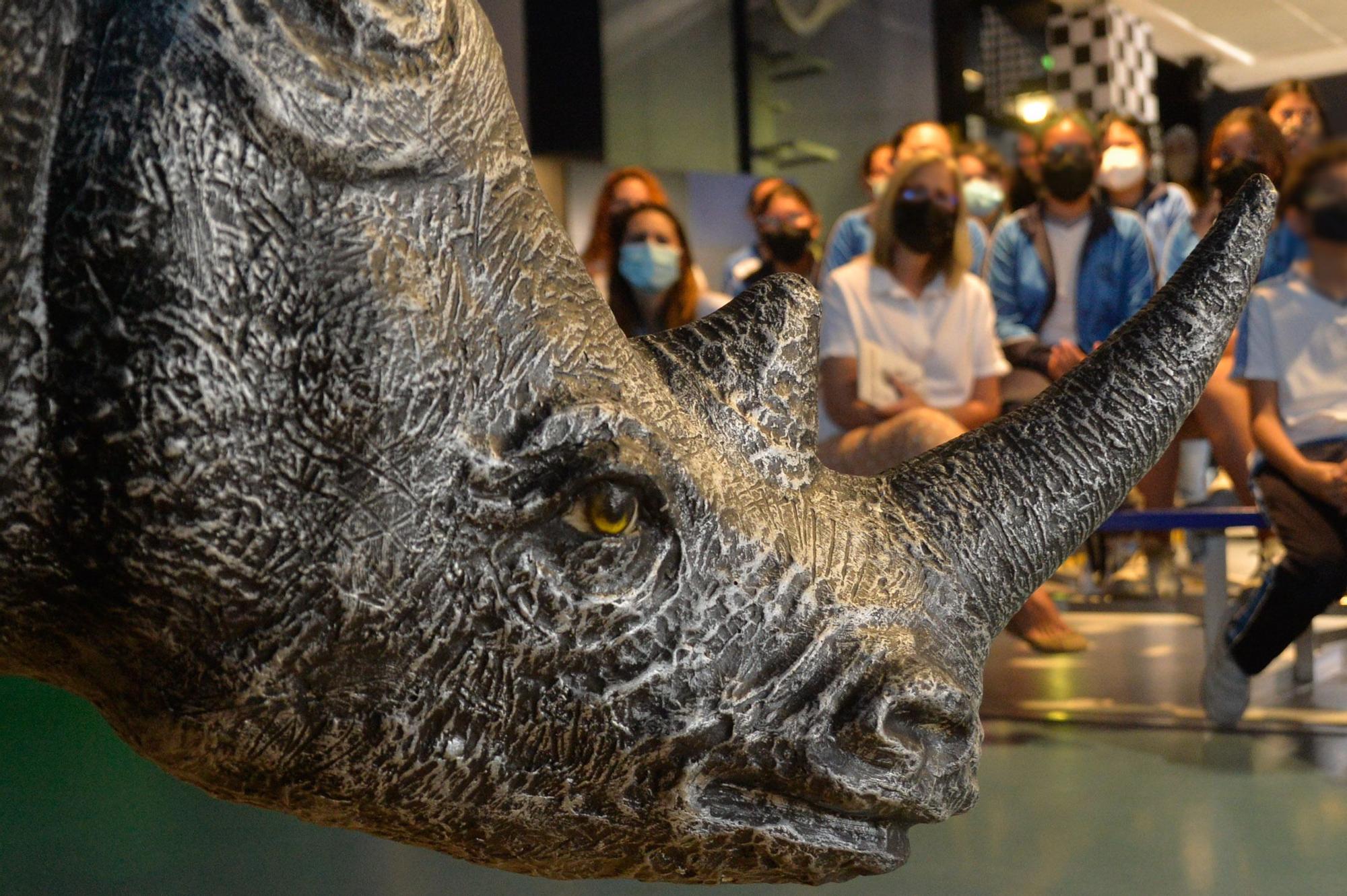 Exposición 'Tiempo para el cambio' en el Museo Elder de la Ciencia y