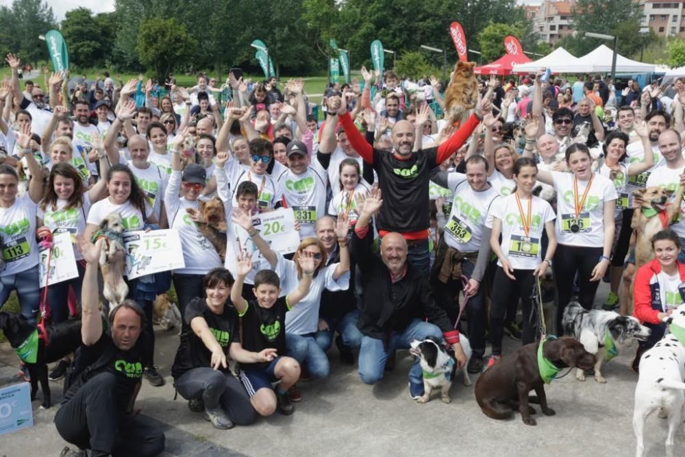 "Can We Run": Deporte, perros y solidaridad toman Gijón