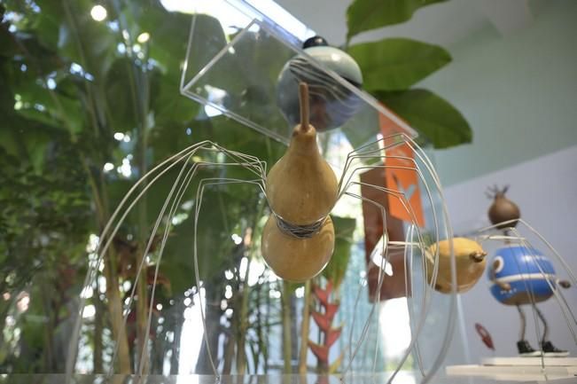 Exposición 'Calabazas para el agua'