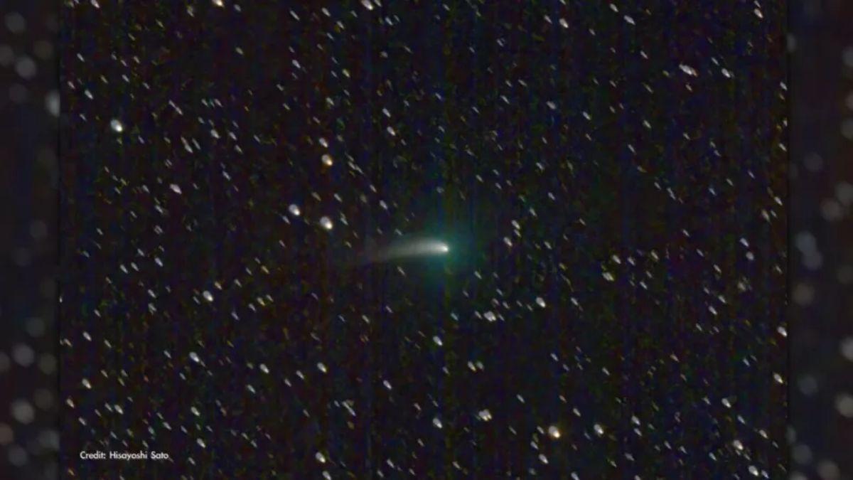 El cometa C/2022 E3 (ZTF) visto desde Lanzarote el pasado 8 de enero de 2023.