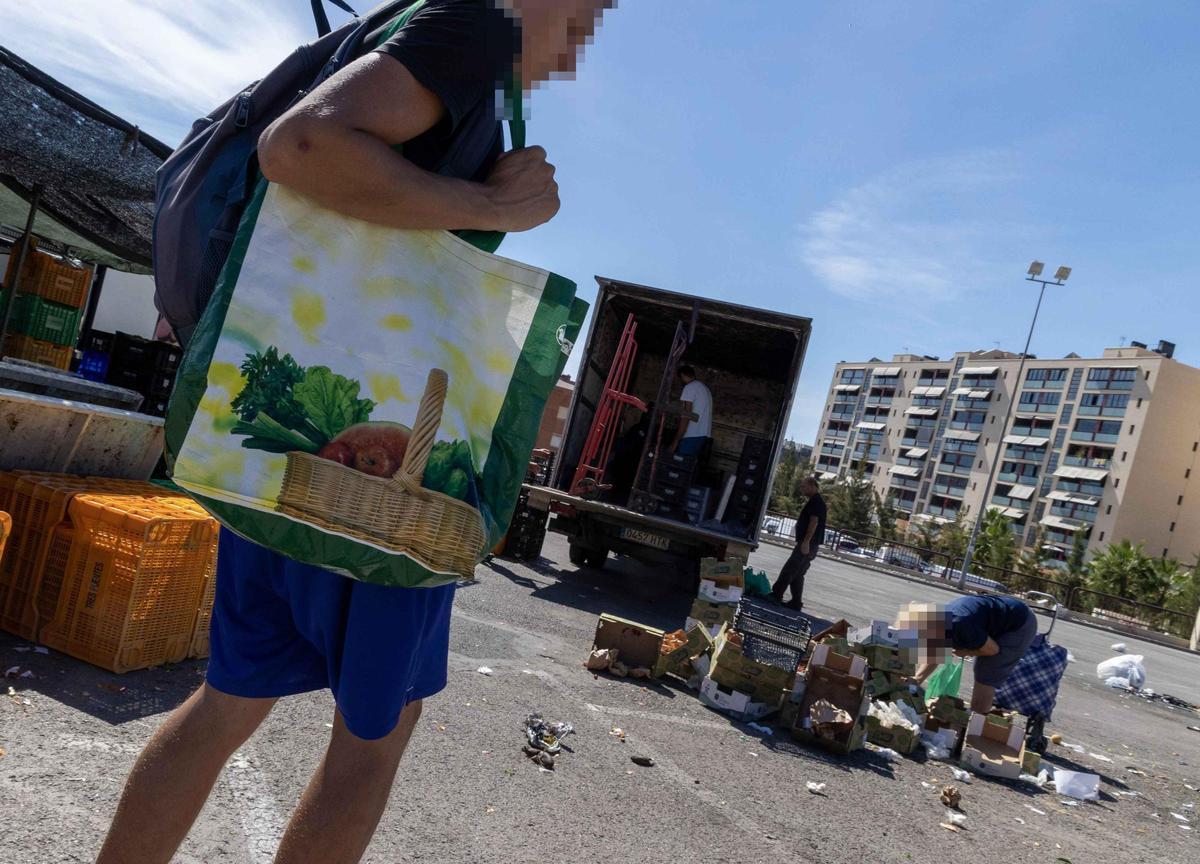 _MGL6618.jpg _MGL6618.jpg