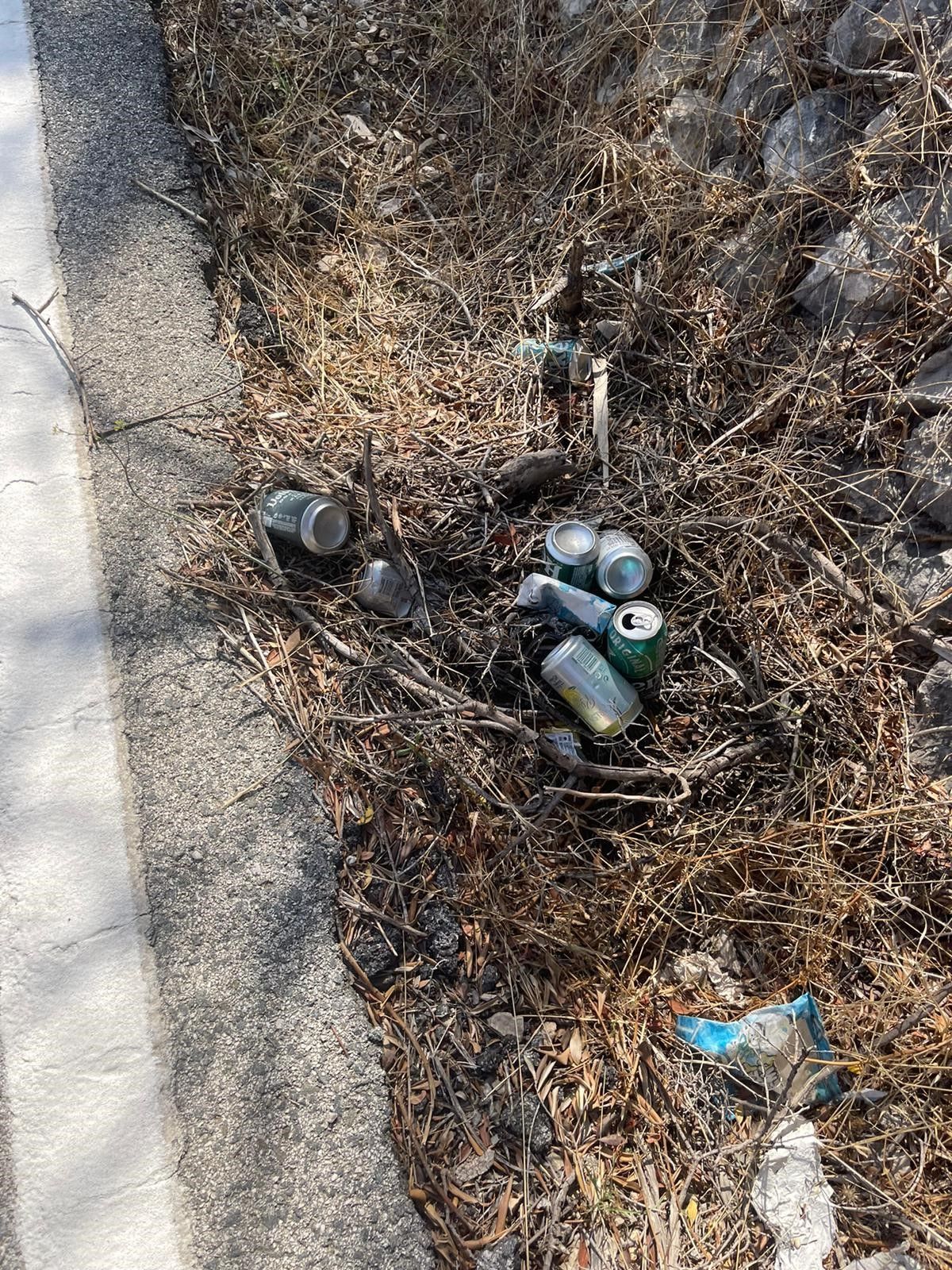 Latas en la cuneta de la carretera de Pedreguer a Alcalalí