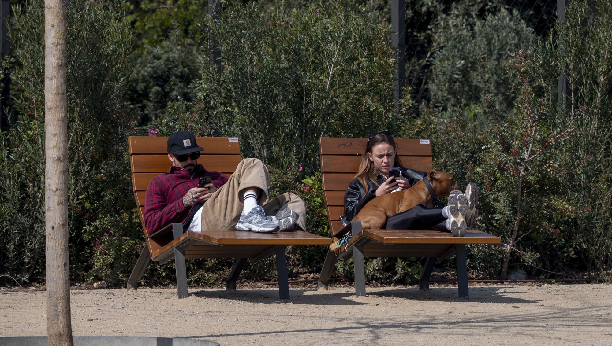 Barcelona diversifica el mobiliario en sus calles: bancos, sillas, tumbonas y mucho más