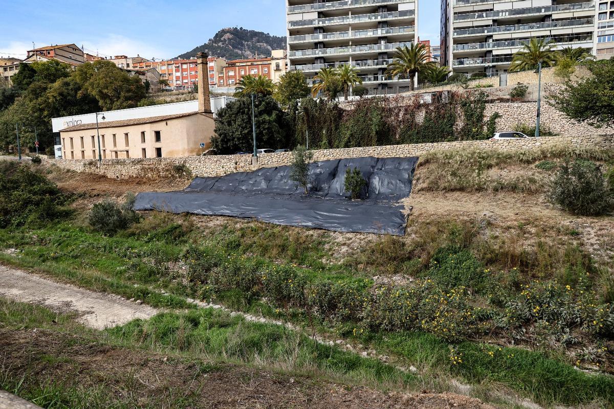 Se han instalado lonas biodegradables para evitar el rebrote de plantas invasoras