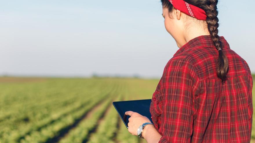 La Junta crea un plan para apoyar la transformación digital de las empresas agrícolas de Córdoba