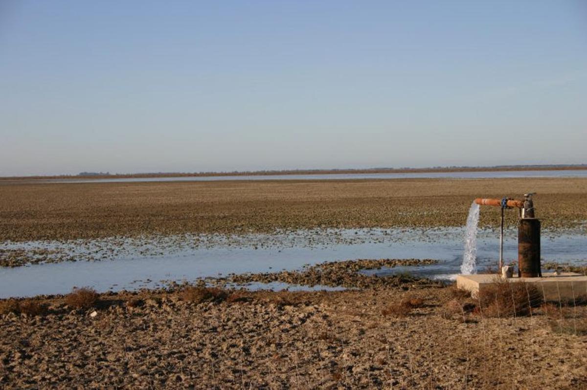 Boca de agua para riego en Doñana