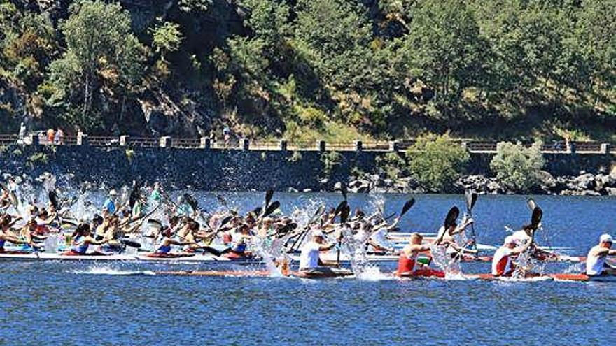 Los palistas, en un momento de la tradicional Regata de Sanabria.