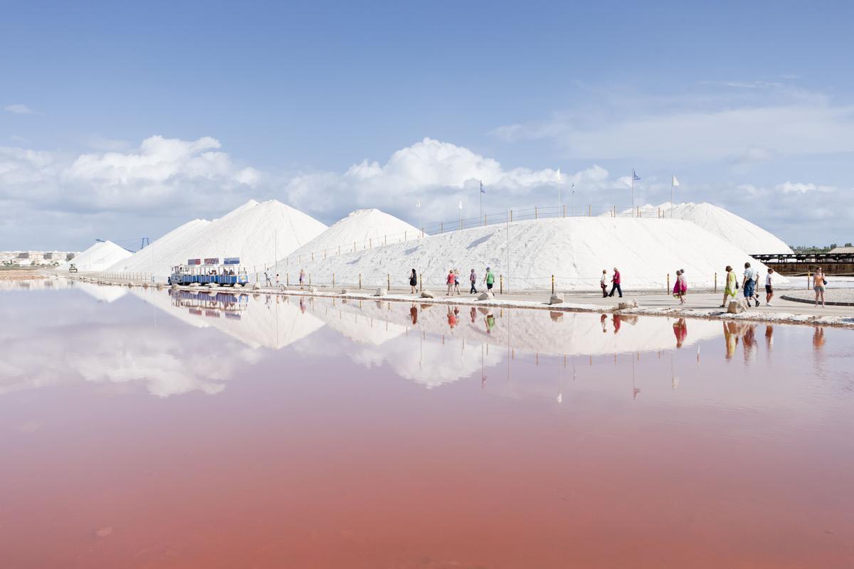 Visita turística a las Salinas de Torrevieja.