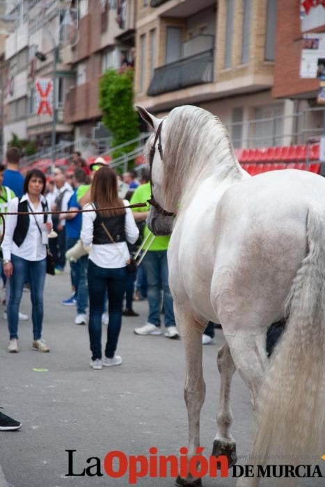 Caballos del Vino: Concurso morfológico (salida Pl