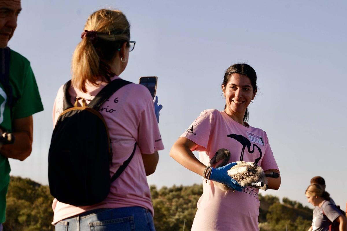 Mas de 400 voluntarios asisten al anillamiento de pollos de flamencos en la Laguna de Fuente de Piedra