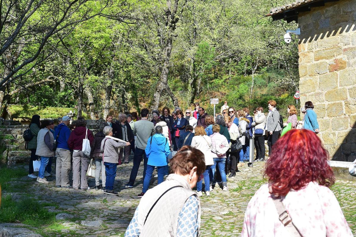 La sillería del coro del Monasterio de Yuste, al detalle