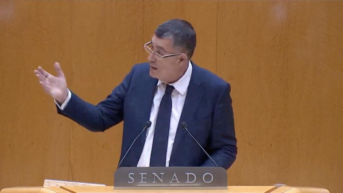 Enric Morera, en su intervención en el Senado