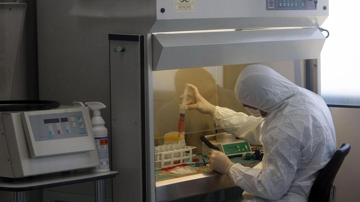 Un equipo de oncología del Hospital de Torrevieja