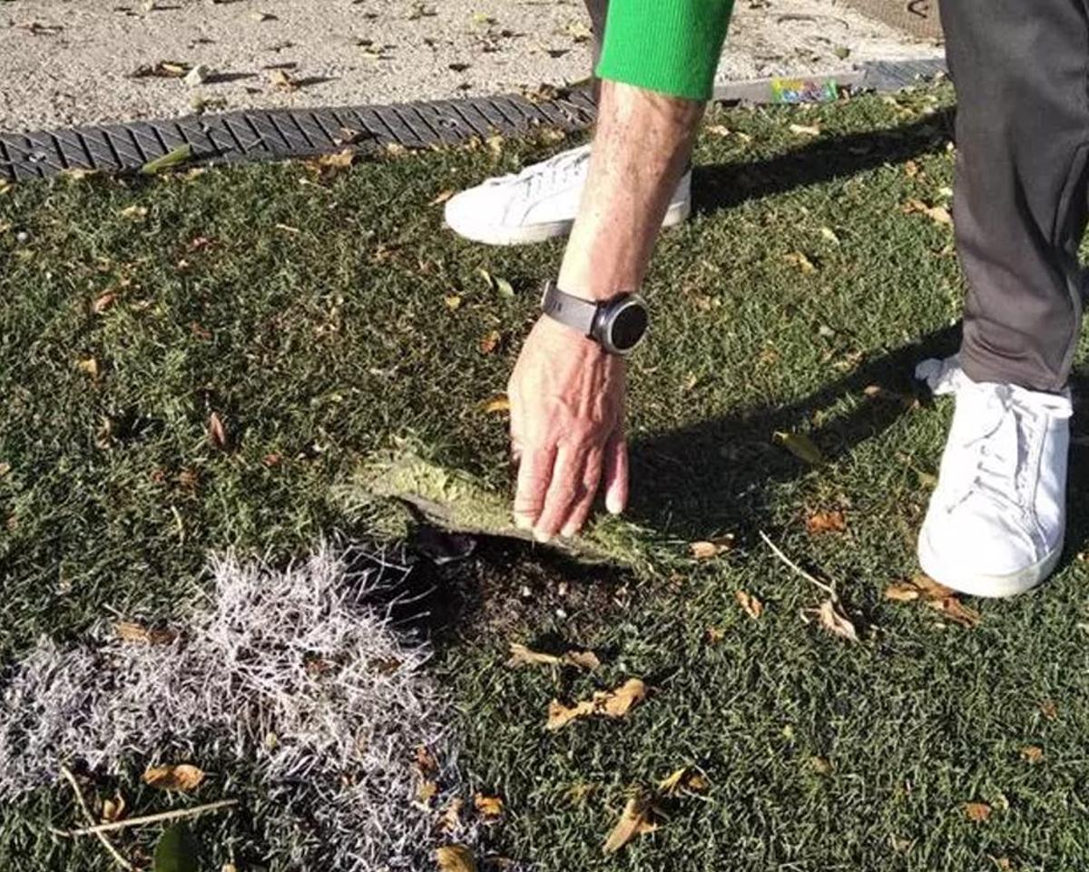 Campo de Carlinda. | L.O