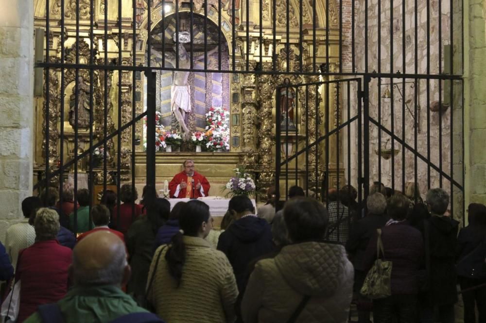 Romería del Cristo de Morales del Vino 2019