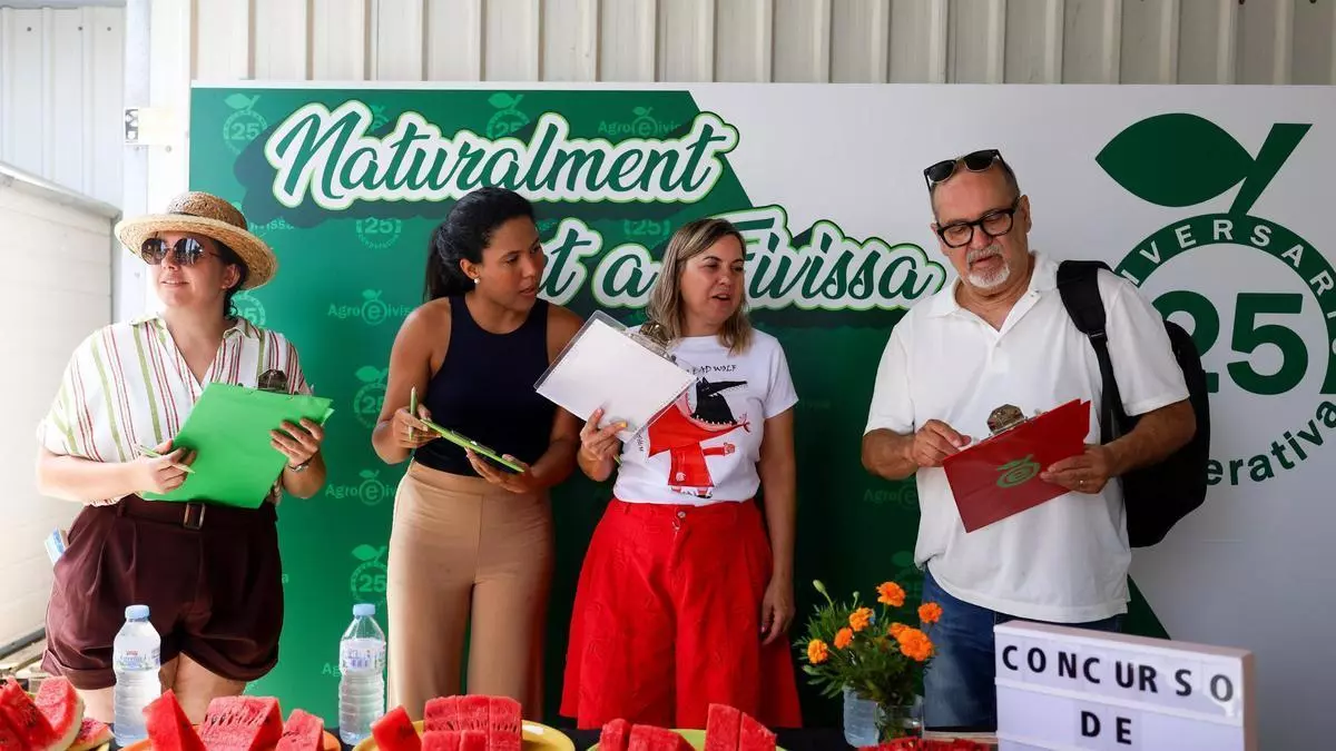 Javi 'Talaies', el productor de las sandías más dulces y titánicas de Ibiza