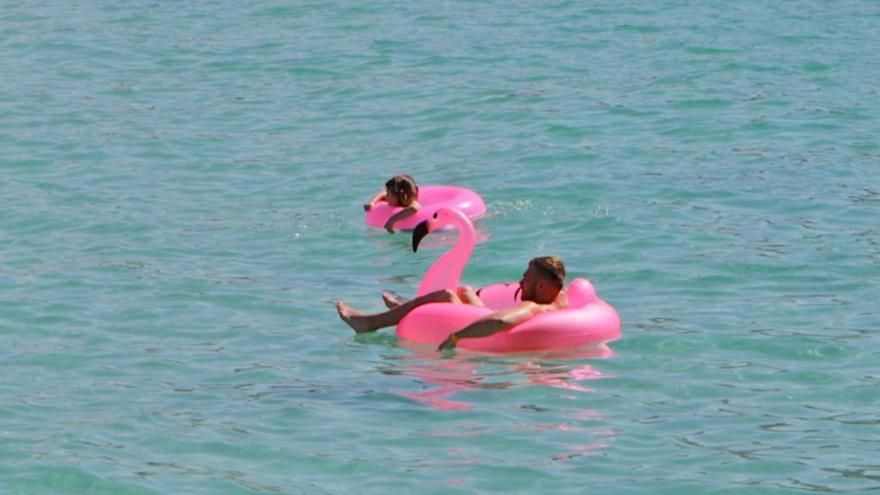 Ungestört mit dem Flamingo im Meer abhängen. Die Frage ist gar nicht unbedingt, wo das in der Hochsaison möglich ist, sondern wann.