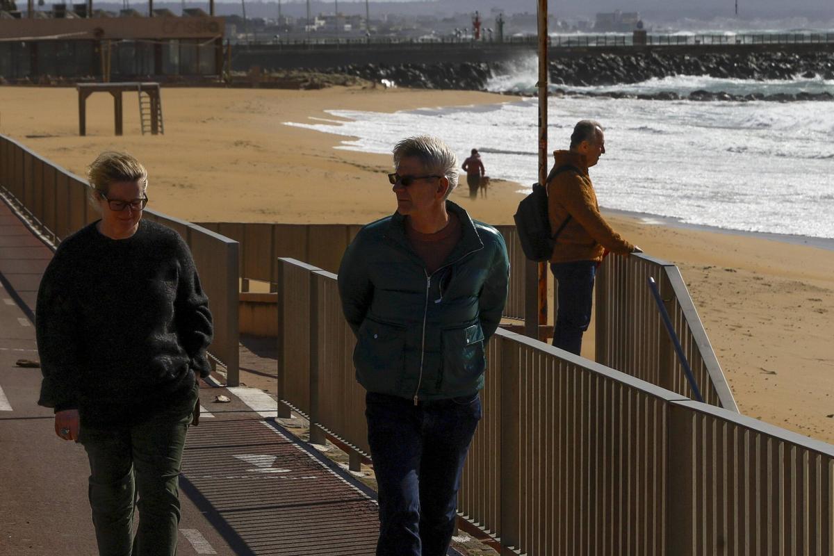 Temporal de viento en Palma