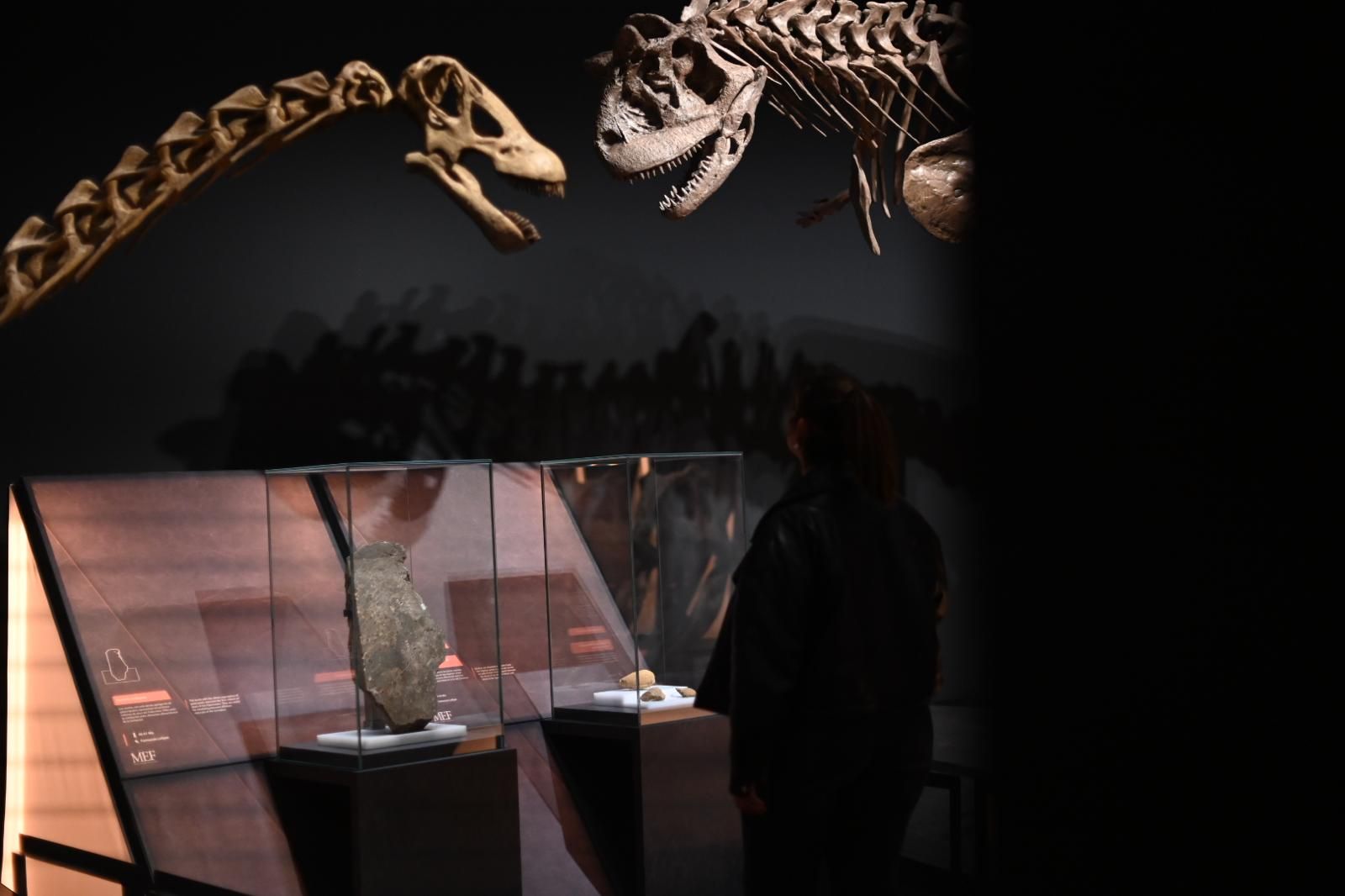 En imágenes | El dinosaurio más grande conocido conquista el Caixaforum de Zaragoza