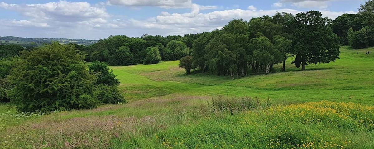 El parque Allestree, en Derby (Reino Unido).