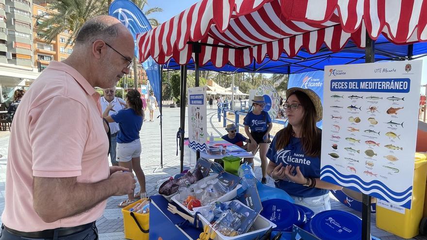 El Ayuntamiento y UTE Alicante reactivan la campaña de limpieza en las playas