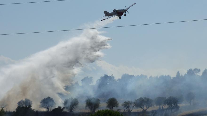 Un incendi ha cremat 2 hectàrees al costat de l&#039;Ap7 a Vilafant