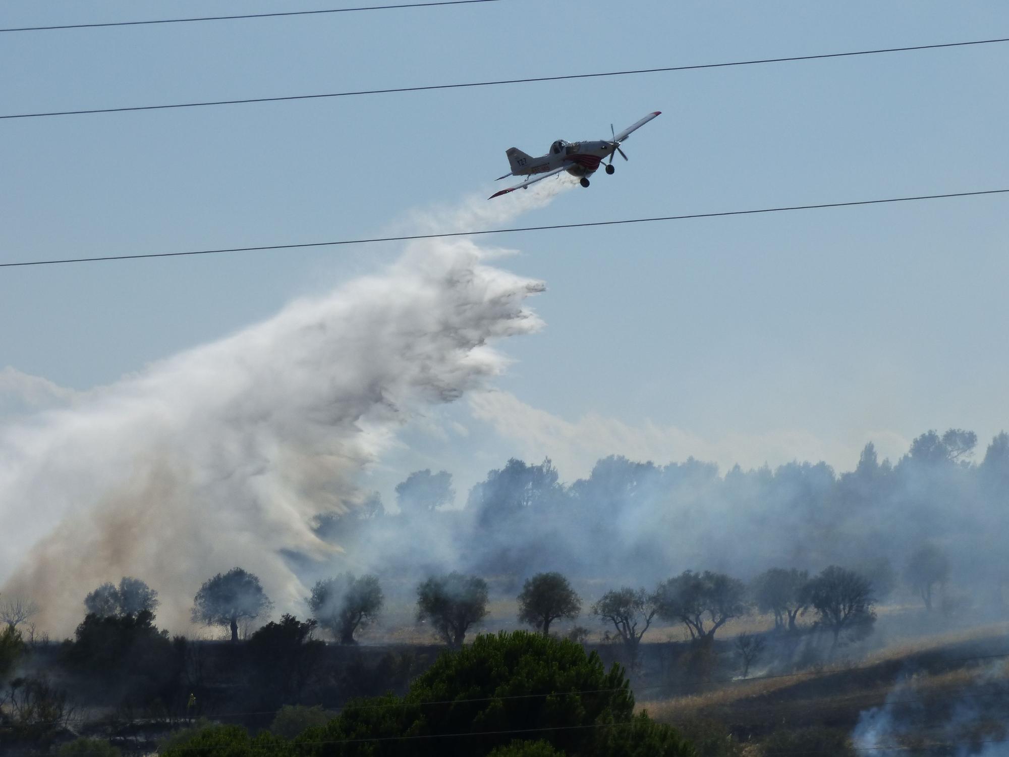 Un incendi ha cremat 3,5 hectàrees al costat de l'Ap7 a Vilafant