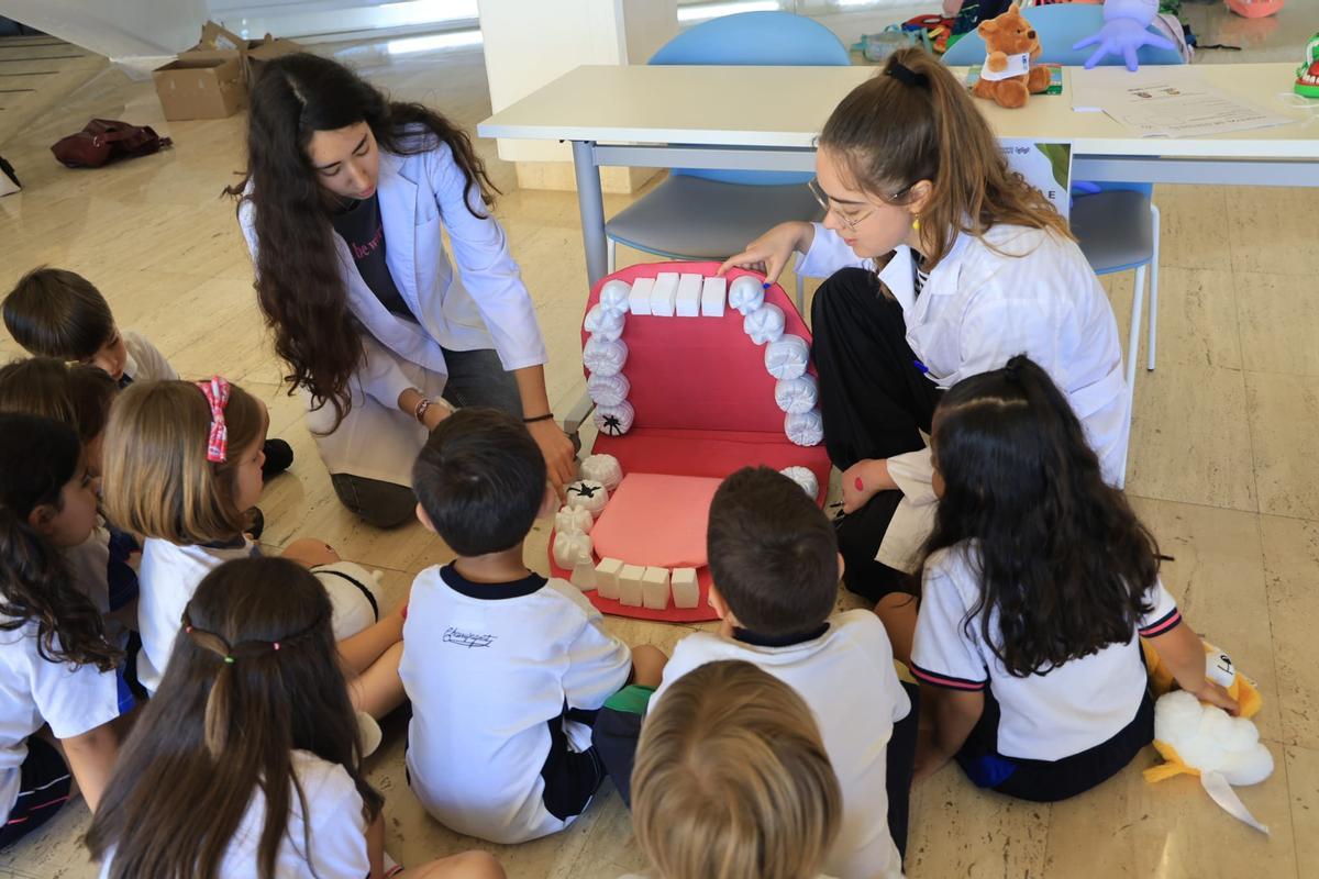 Estudiantes de Medicina de Alicante y Elche "pasan consulta" con los niños en el "I Hospital de Ositos"