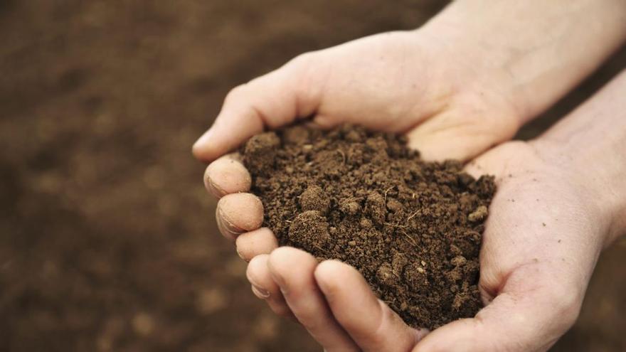 La salud del suelo, gran regulador del clima, olvidada en las estrategias mundiales
