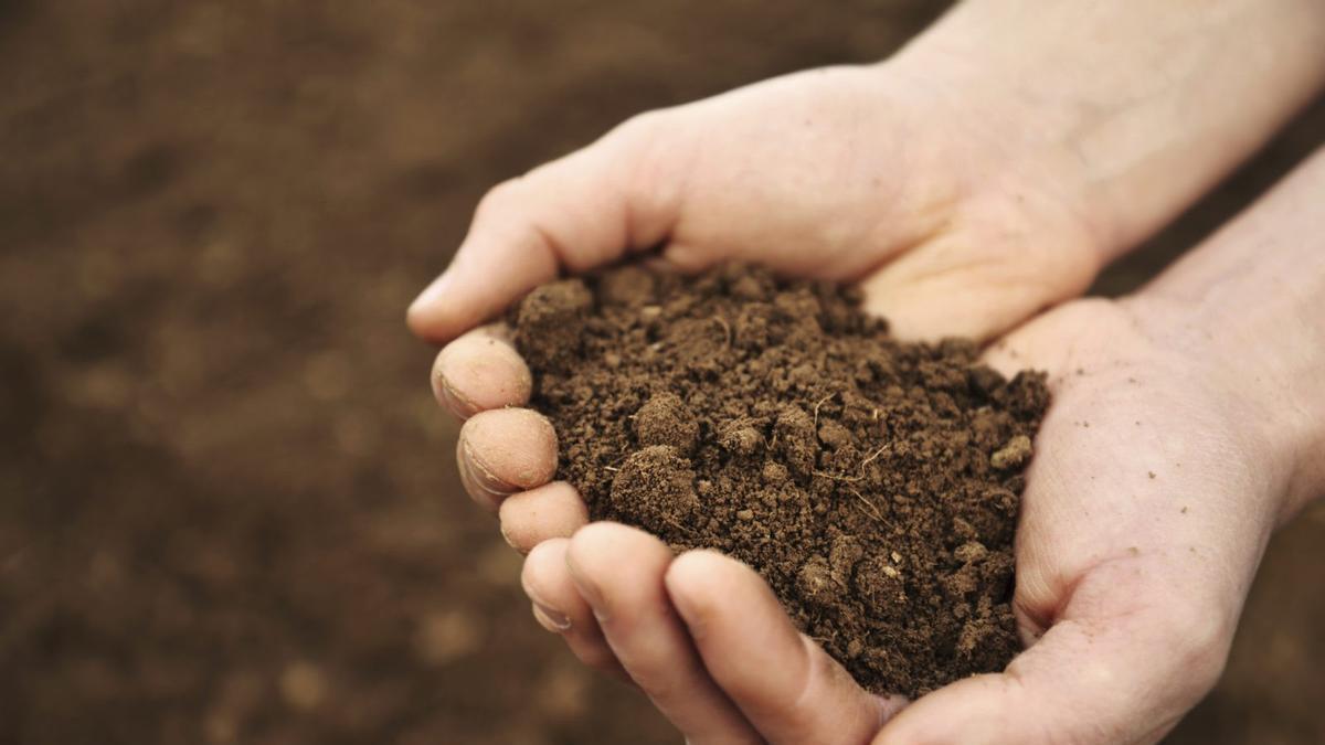 La salud del suelo, gran regulador del clima, olvidada en las estrategias mundiales