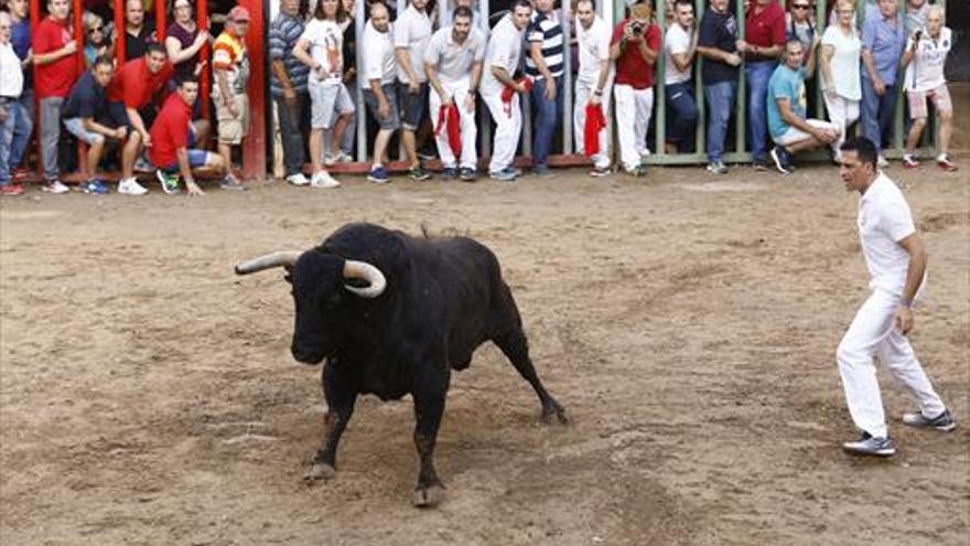 Almassora disfruta con más toros y el día de los mayores