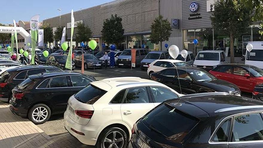 Audi, Volkswagen, Seat o Skoda con descuentos de más del 35%, en Elche