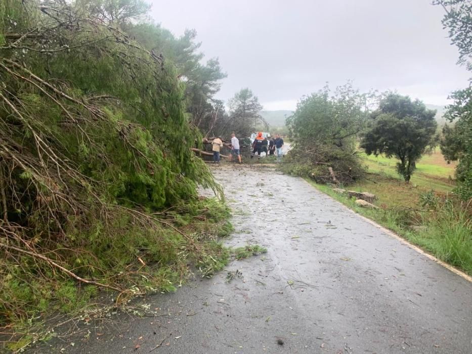 El temporal descarga sobre Ibiza y Formentera