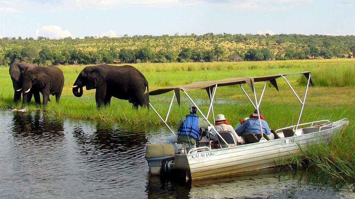 Turistas observan elefantes en el río Chobe a la frontera entre Namibia y Botsuana