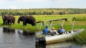 FILE PHOTO  Foreign tourists in safari riverboats observe elephants along the Chobe river bank near Botswana s northern border where Zimbabwe  Zambia and Namibia meet  March 4  2005  REUTERS Peter Apps File Photo File Photo