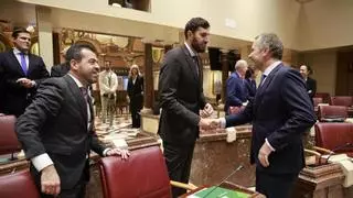 El PP apoyará la reforma de la Ley de Participación Institucional que pactó con Vox en 2023 para aprobar los presupuestos