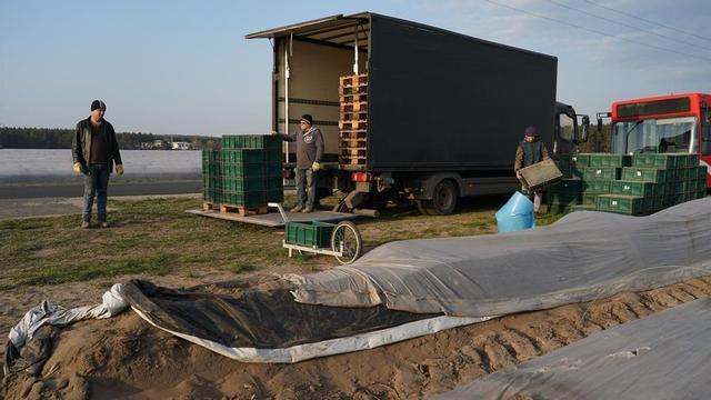 agricultura alemania temporereon cieere fronteras coronavirus