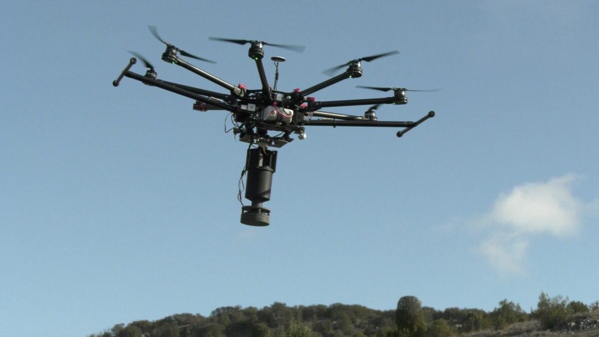 Empiezan a sembrar con drones 21 futuros bosques en toda España