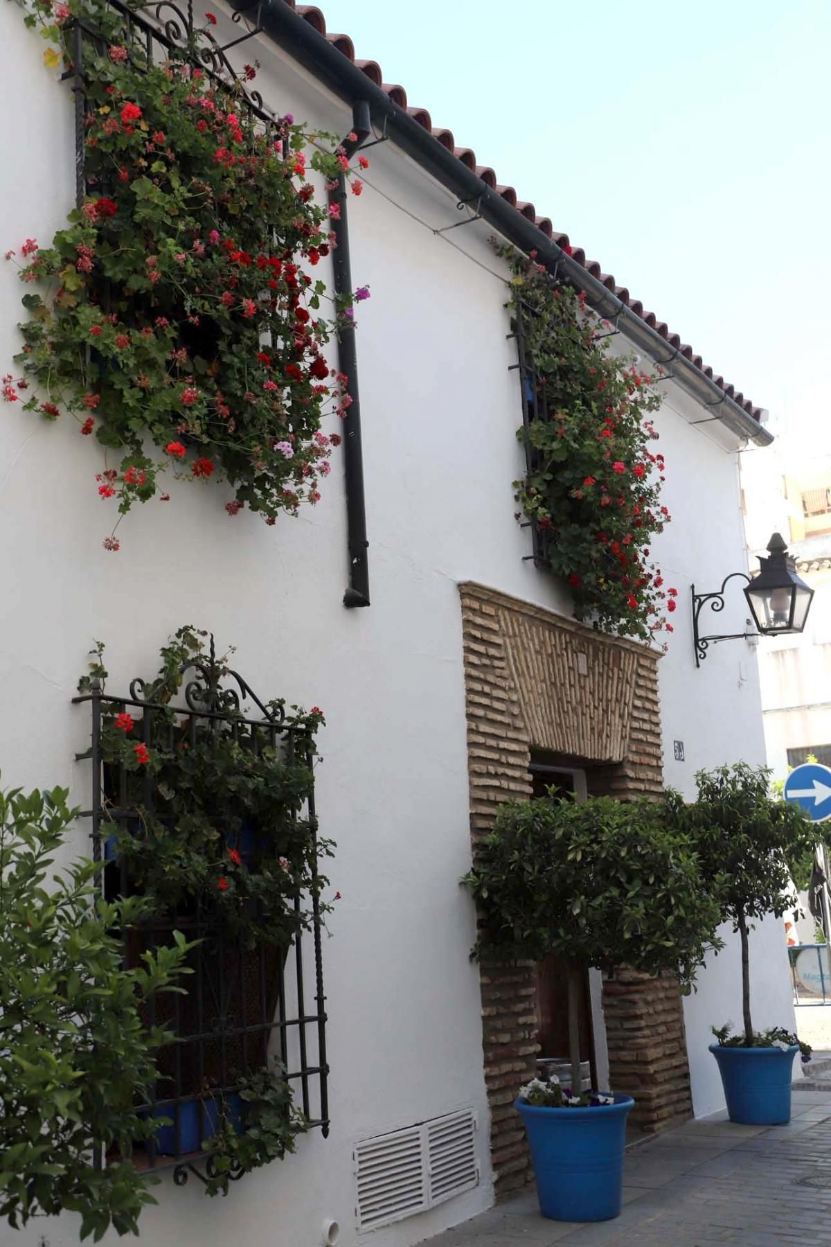 Rejas y balcones en junio