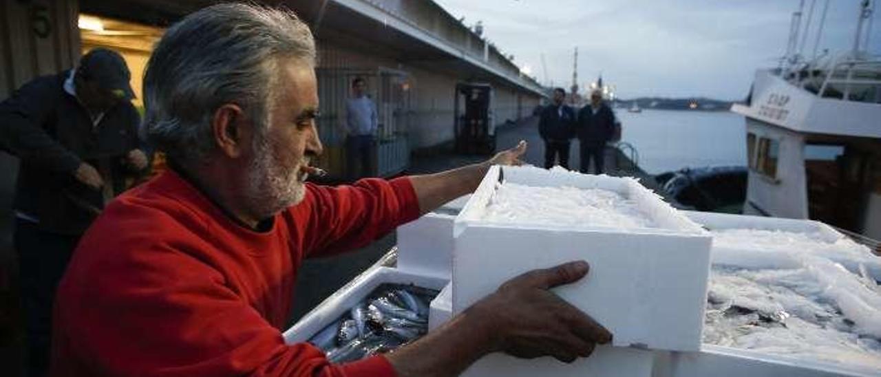 Descarga de pescado en la rula de Avilés.