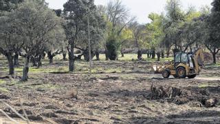 Monte la Reina: empiezan las obras para el nuevo campamento militar